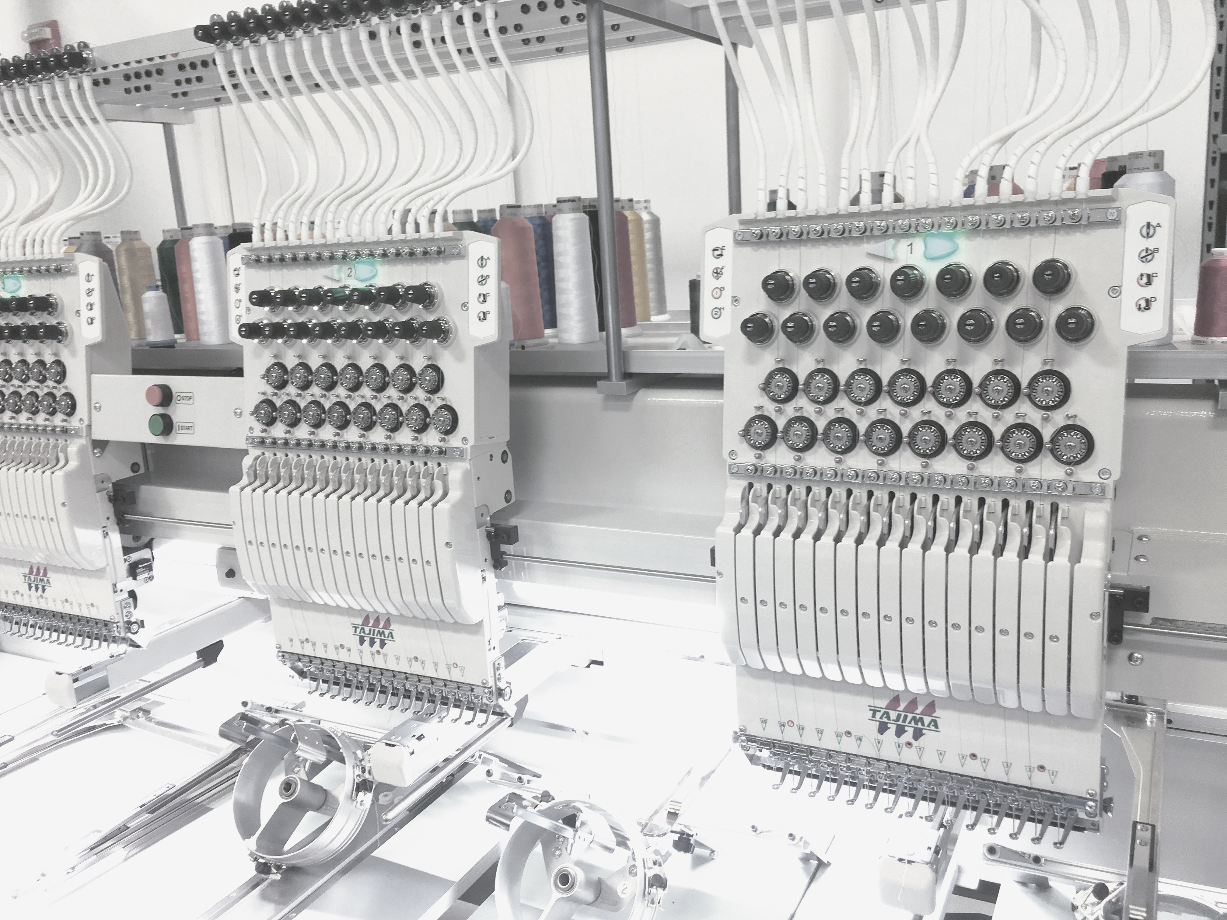 Tajima Multihead